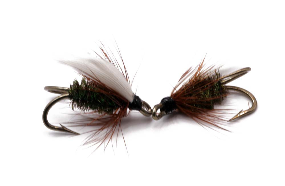 Coachman - Dobbelt krog