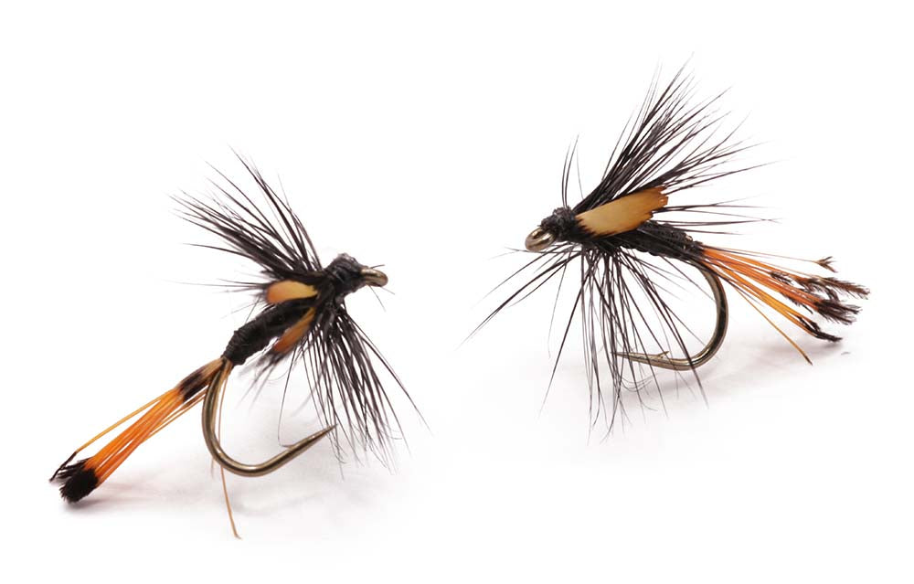 Black Pennel Jungle Cock