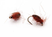 Bugsvømmer