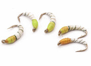 White Buzzer Worm