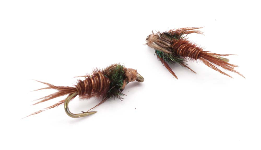Pheasant tail
