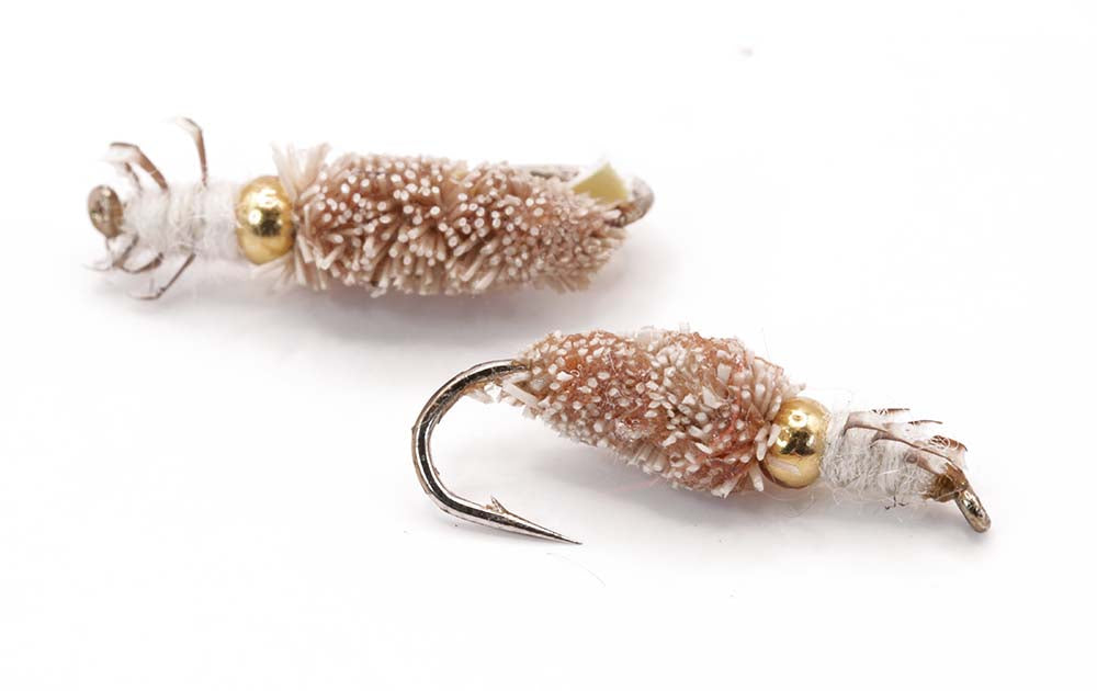 Peeping Caddis