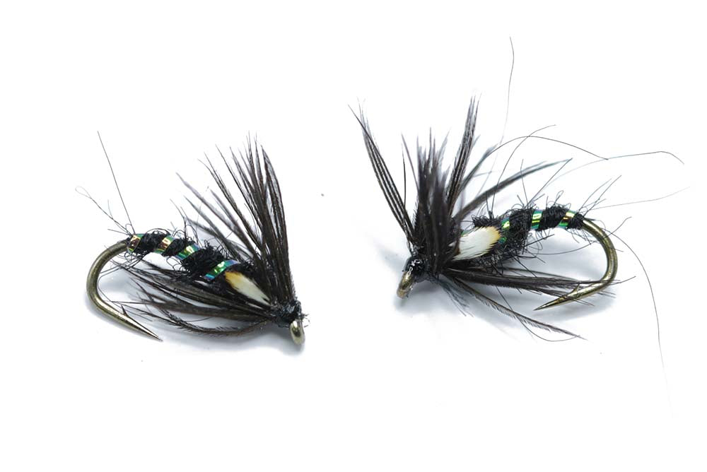 Pearly Black Jungle Cock Nymph