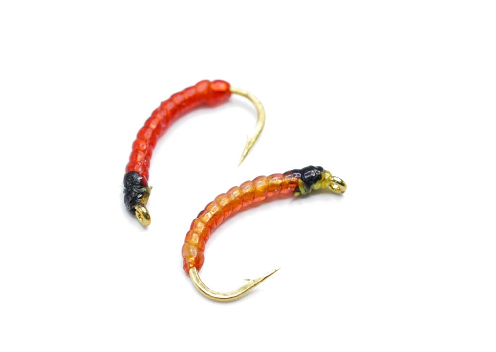 Blood Worm