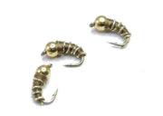 Goldhead hares ear