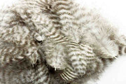 Soft hackles - Grizzly