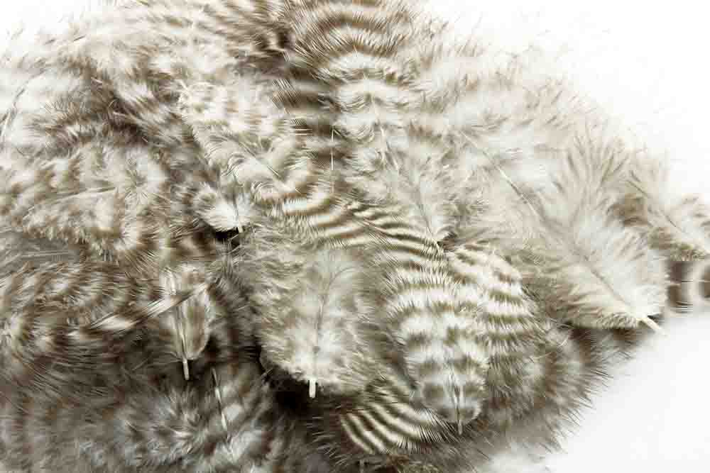 Soft hackles - Grizzly
