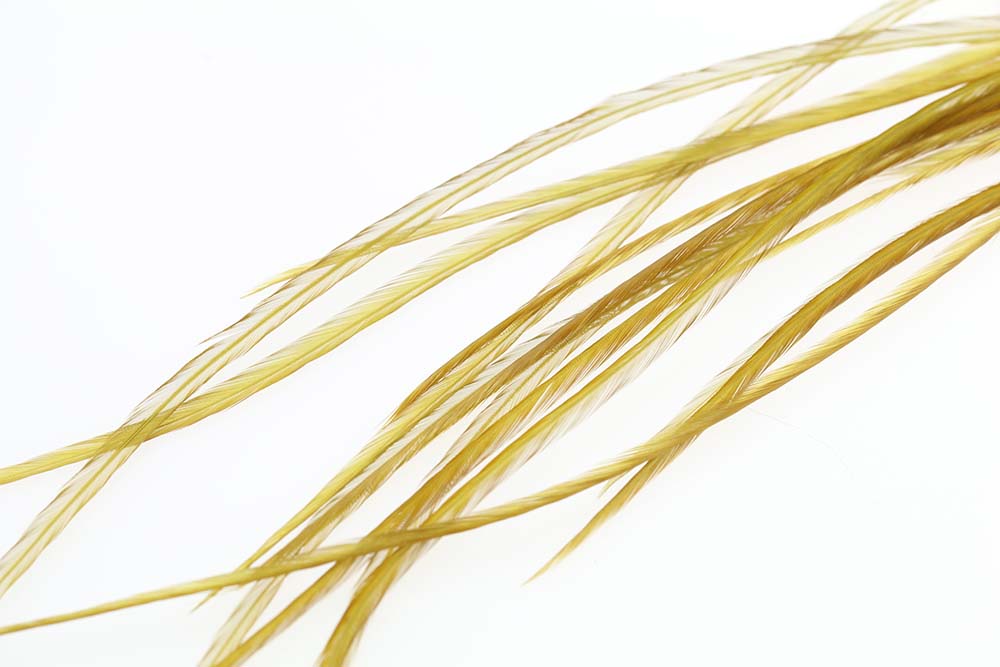 Selected Flatwing/dryfly Feather - Golden Olive