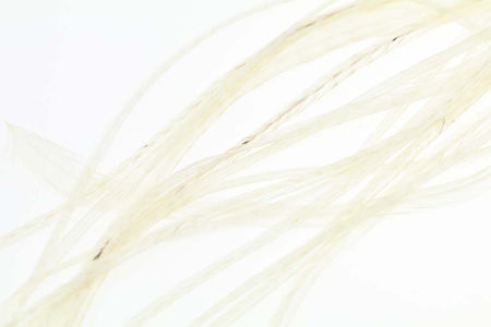 Du tilføjede <b><u>10+ Selected Flatwing/dryfly Feather - White</u></b> til kurven.
