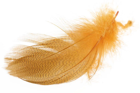 Du tilføjede <b><u>Mallard Barred Flank - Amber</u></b> til kurven.