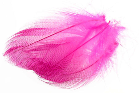 Du tilføjede <b><u>Mallard Barred Flank - Fl. Pink</u></b> til kurven.