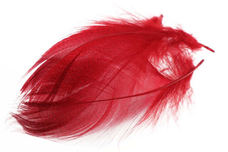 Du tilføjede <b><u>Mallard Barred Flank - Red</u></b> til kurven.