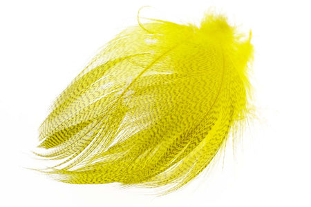 Du tilføjede <b><u>Mallard Barred Flank - Mayfly Yellow</u></b> til kurven.