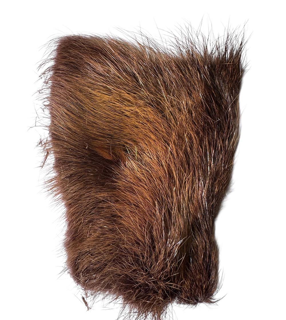 Nutria