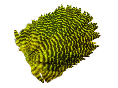 Du tilføjede <b><u>Futurefly FF Signature Hen Saddle - Chartreuse Grizzly</u></b> til kurven.