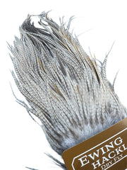 Ewing Special #1 unique Sadel - Ghost barred grizzly 1