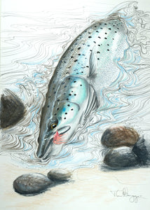 Du tilføjede <b><u>Thomas Weiergang original A3 - Piglet Seatrout A3</u></b> til kurven.