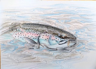Du tilføjede <b><u>Thomas Weiergang original A3 - Rainbow Trout on the Dry A3</u></b> til kurven.