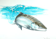 Thomas Weiergang original A3 - Salmon Study A3