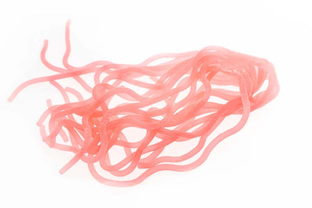 Du tilføjede <b><u>Sili Squirmy Wormy - Salmon Pink</u></b> til kurven.