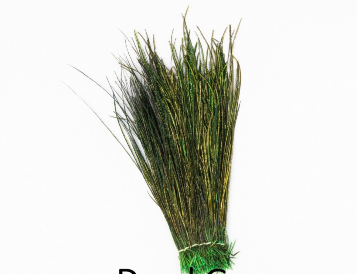 Påfugle Herl