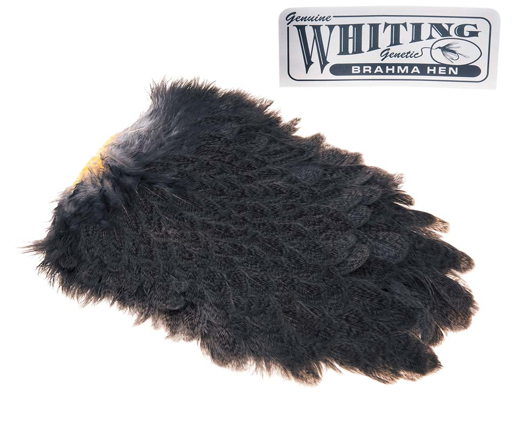 Whiting Brahma Saddle - Mottled Dark Dun