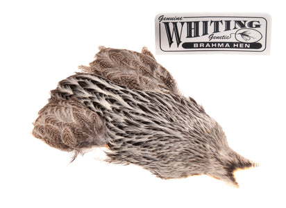 Du tilføjede <b><u>Whiting Brahma - Creme Badger</u></b> til kurven.