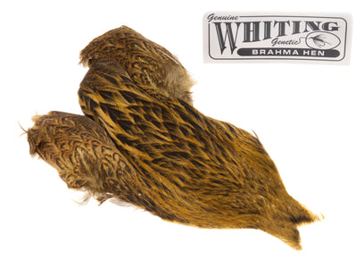 Du tilføjede <b><u>Whiting Brahma - Golden Olive</u></b> til kurven.