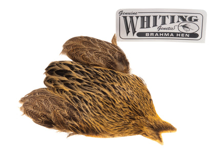 Du tilføjede <b><u>Whiting Brahma - Golden Straw</u></b> til kurven.