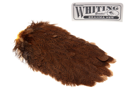 Du tilføjede <b><u>Whiting Brahma Saddle - Golden Brown</u></b> til kurven.