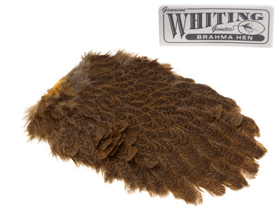 Du tilføjede <b><u>Whiting Brahma Saddle - Mottled Olive</u></b> til kurven.