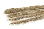 3 mm Rabbit Zonkerstrip - Hare