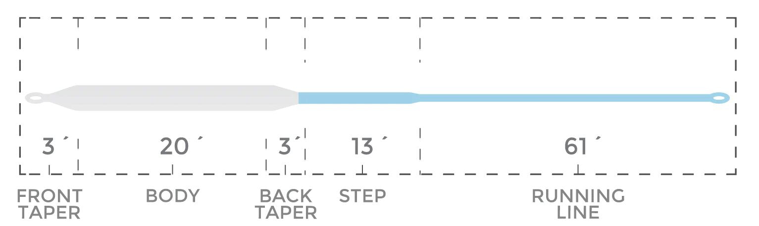 Cortland Speciality Compact - Intermediate