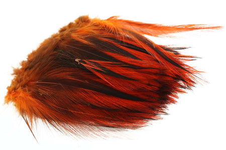 Du tilføjede <b><u>Hane Hackler Badger - Burnt Orange</u></b> til kurven.
