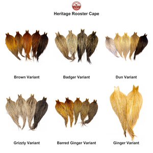 Du tilføjede <b><u>Whiting Heritage Rooster Cape</u></b> til kurven.