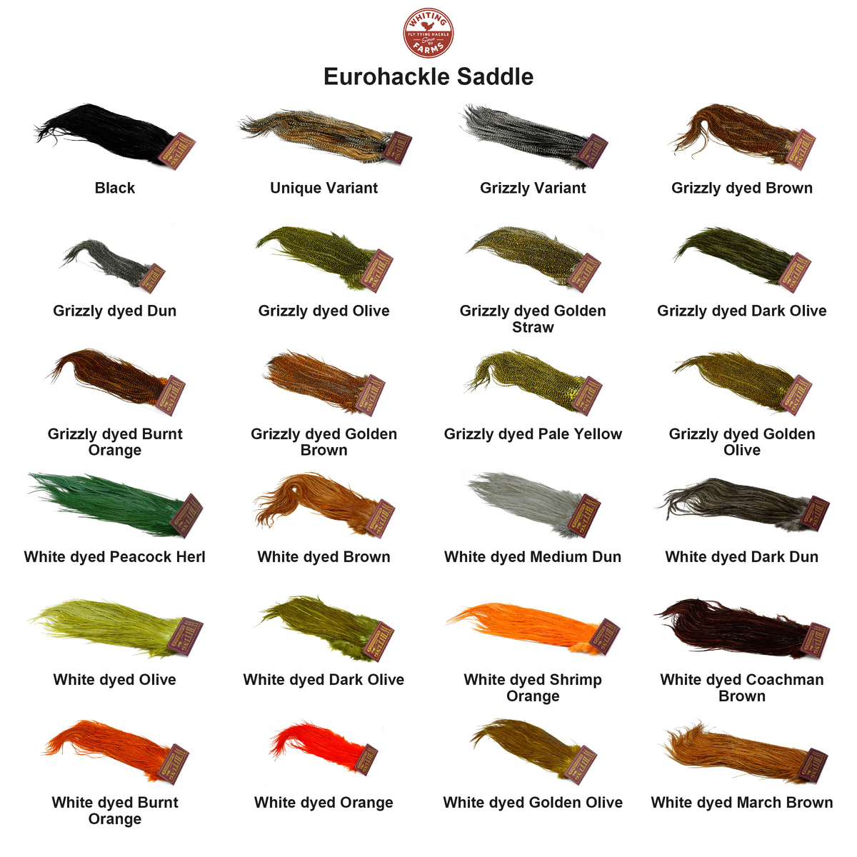 Farveoversigt – Whiting Eurohackle Saddle