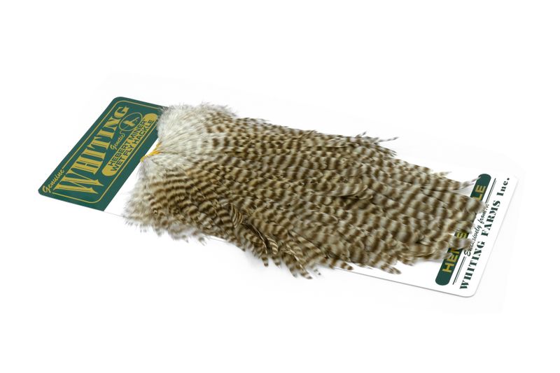 Whiting Hebert Hen Saddle â€“ dealerweb-cms-00402aec-d813-4521-a2c5-cb325eaf9ceb.jpg