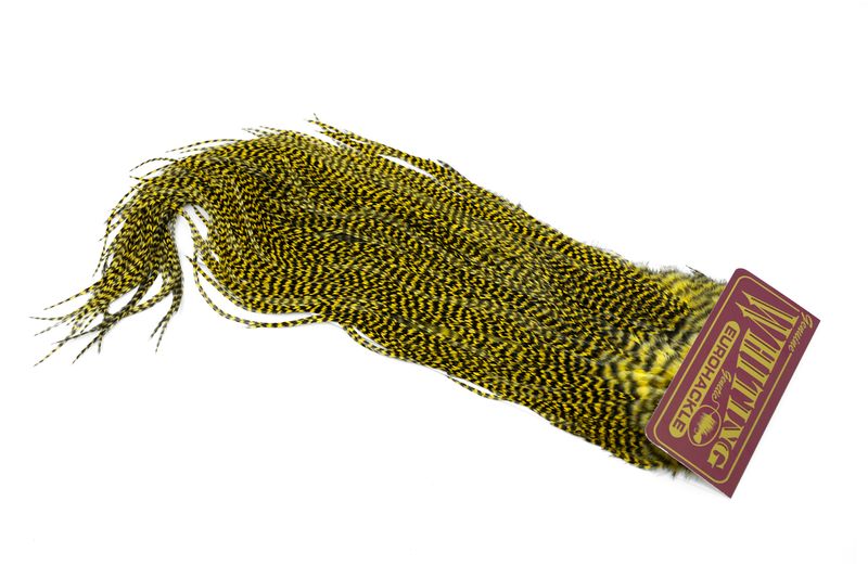 Whiting Eurohackle Saddle â€“ dealerweb-cms-0171d67a-c1f2-4c81-ae1e-73fe3a8f8110.jpg