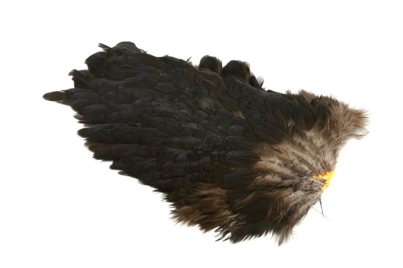 Whiting 4 B's Hen Saddle â€“ dealerweb-cms-04f6ed4e-e232-4a00-ba01-8c2f59404065.jpg