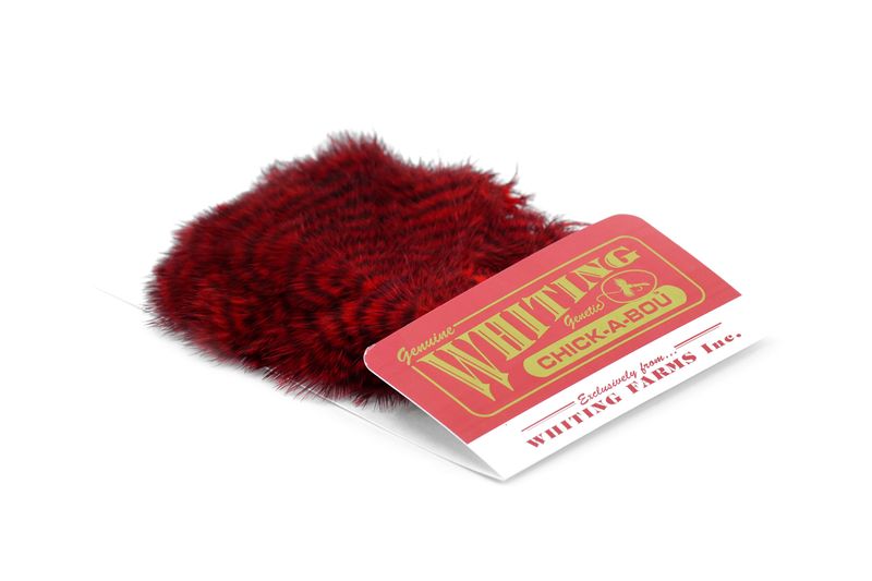 Whiting Chickabou Patch â€“ dealerweb-cms-05c53872-2550-418d-b443-a4fdfb536ecc.jpg