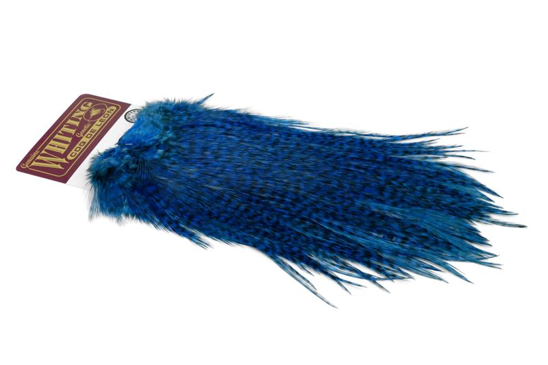 Whiting Coq de Leon Rooster Saddle – Silver â€“ dealerweb-cms-076e4dce-5d9c-4df7-86ef-f19a9e807023.jpg