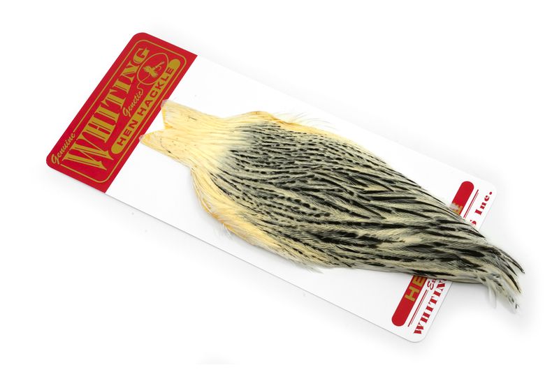Whiting Hen Cape â€“ dealerweb-cms-0c910ad6-47ec-4557-beb8-4dabf30bc68f.jpg