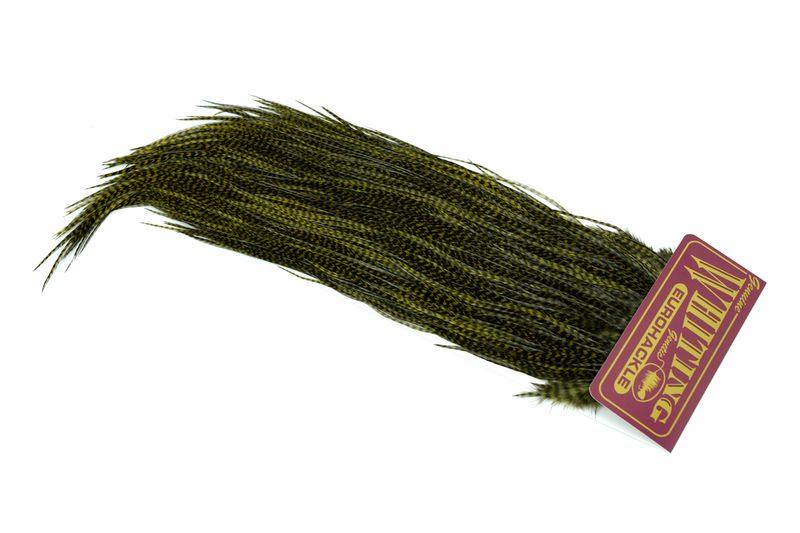 Whiting Eurohackle Saddle â€“ dealerweb-cms-0c992b71-bcd9-482f-ae91-3e89aa224696.jpg