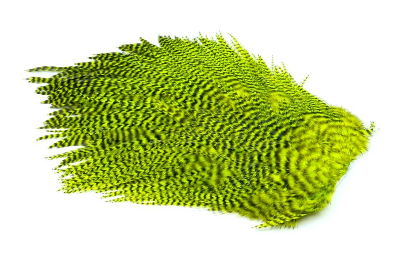 Whiting 4 B's Rooster Saddle â€“ dealerweb-cms-12fab62d-9a3f-423a-a2ad-37014c476632.jpg