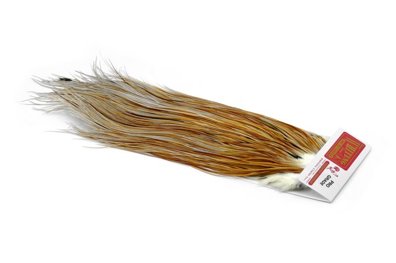 Whiting Rooster Saddle – Pro Grade â€“ dealerweb-cms-18f920b3-8742-4ec5-946f-367a869c244c.jpg
