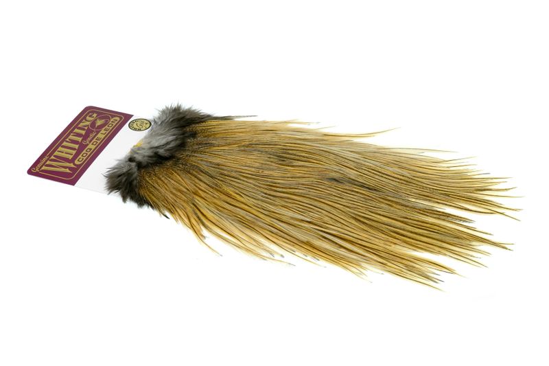 Whiting Coq de Leon Rooster Saddle – Gold â€“ dealerweb-cms-1a2eca1c-f5f6-4dba-b526-aa97fc793535.jpg