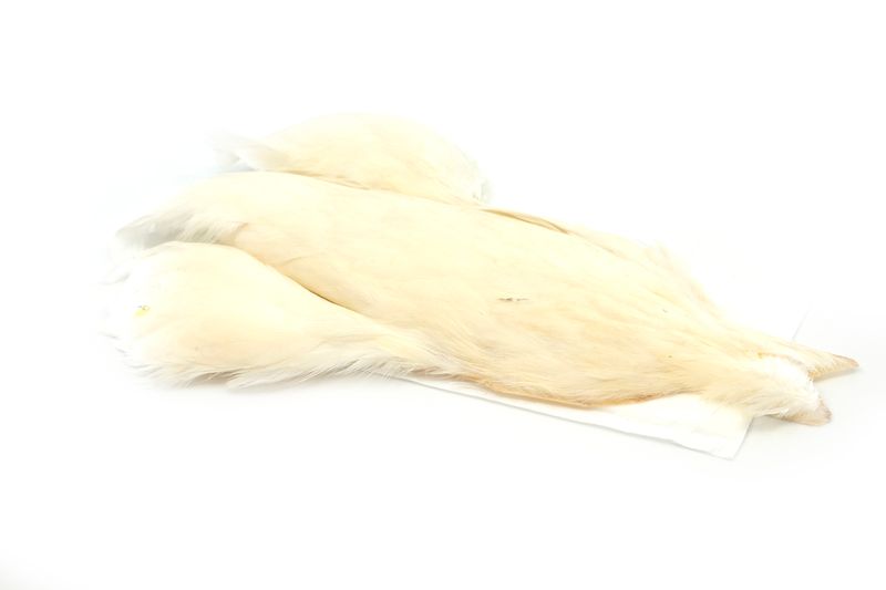 Whiting 4 B's Hen Cape â€“ dealerweb-cms-1a6cf118-0798-428f-b6a6-df2246cd05b8.jpg