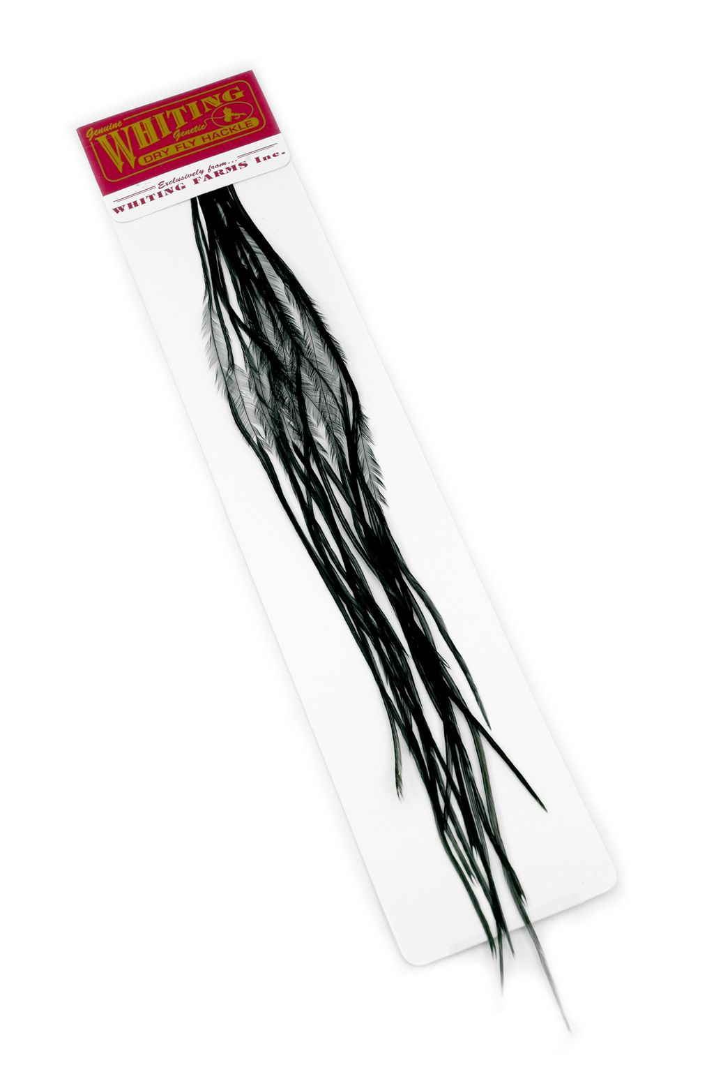 Whiting 100 Pack - Black Perfekt til flatwing tobis