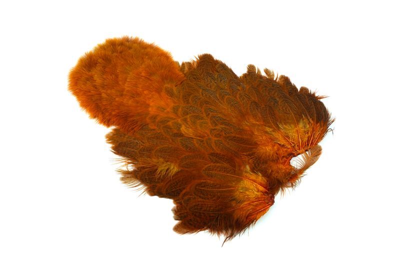 Whiting Brahma Hen SH/C â€“ dealerweb-cms-1c74c385-b2d5-4938-afd1-a497abe20570.jpg