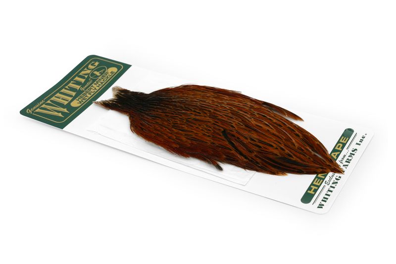 Whiting Hebert Hen Cape â€“ dealerweb-cms-1d02315a-b71d-4c0e-b9ef-65c3d85ae3f9.jpg